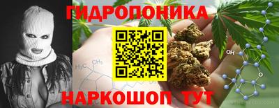 ГАЛЛЮЦИНОГЕННЫЕ ГРИБЫ Камышлов