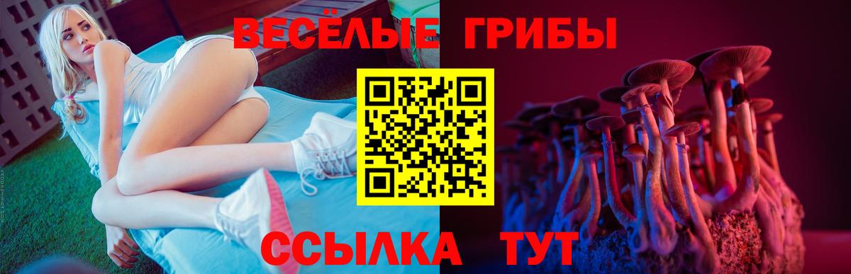 Галлюциногенные грибы MAGIC MUSHROOMS  Галлюциногенные грибы Cubensis  Краснокаменск  Вход с VPN 